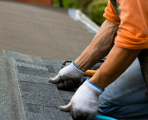 Best Roof Gutter Cleaning  in Cao, ND